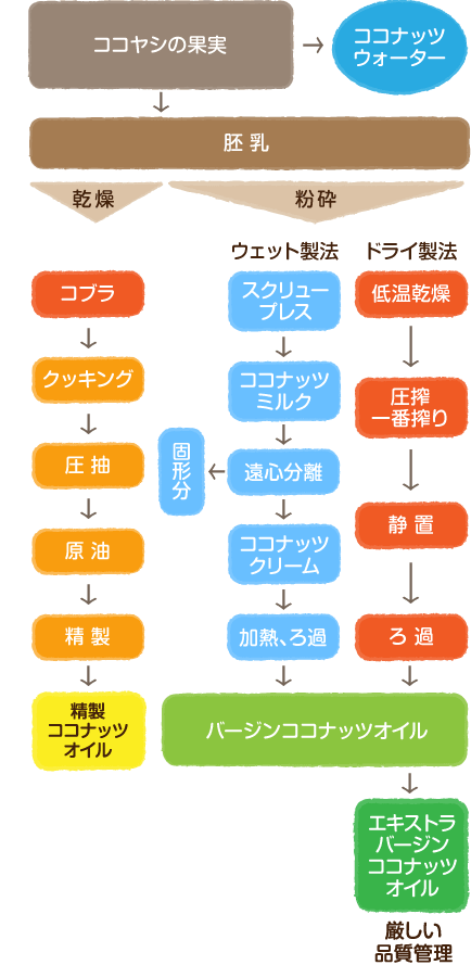 Mctサロン いろいろ知りたい ココナッツオイル